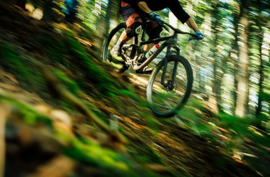 person riding hardtail bike beside trees at daytime