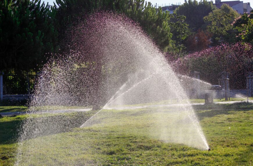 Sprinkler spraying water droplets across a sunny green lawn