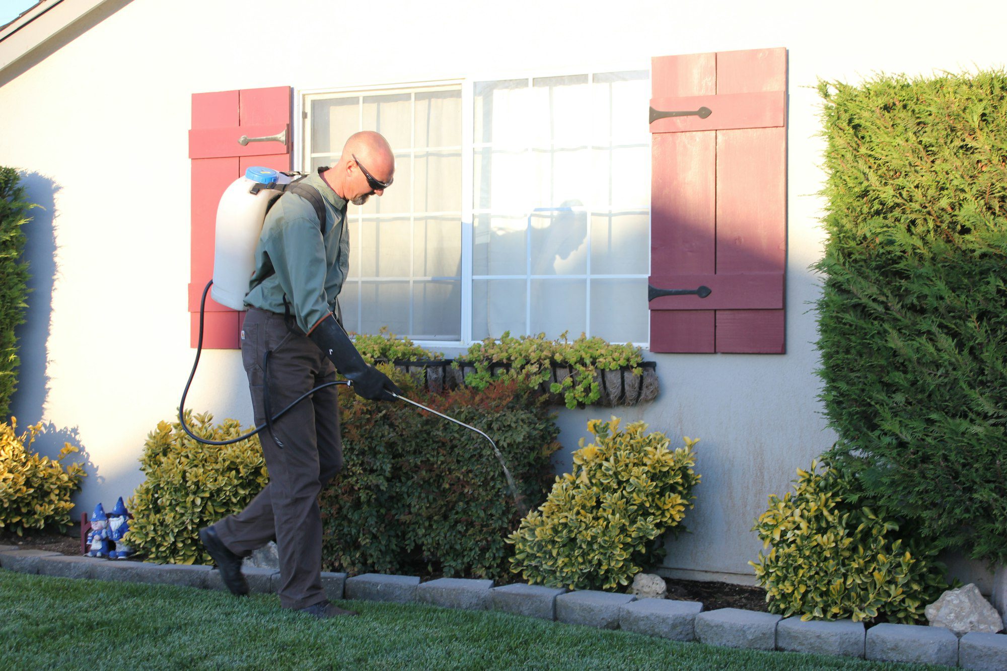Pest control technician inspecting a home exterior for rodent entry points