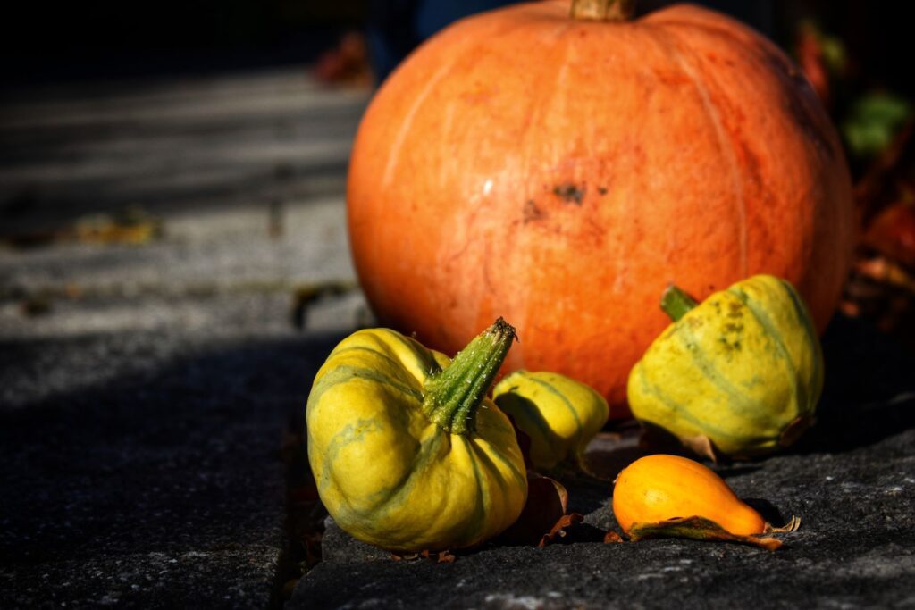 Vibrant orange pumpkin and yellow gourds on stone path, highlighting autumn harvest theme.