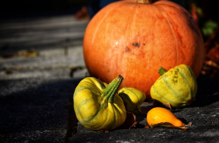 Vibrant orange pumpkin and yellow gourds on stone path, highlighting autumn harvest theme.