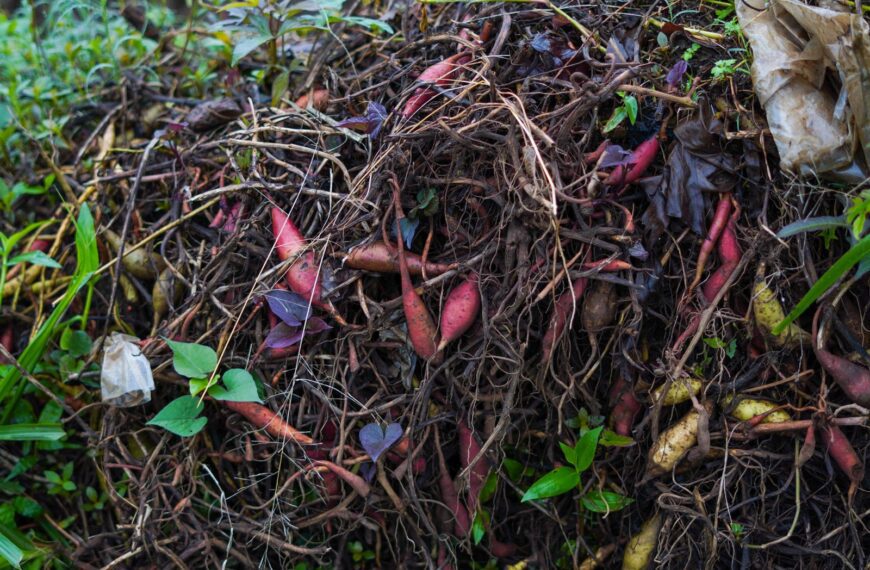 Pile of organic compost with various plant roots and leaves, showcasing vibrant natural colors.