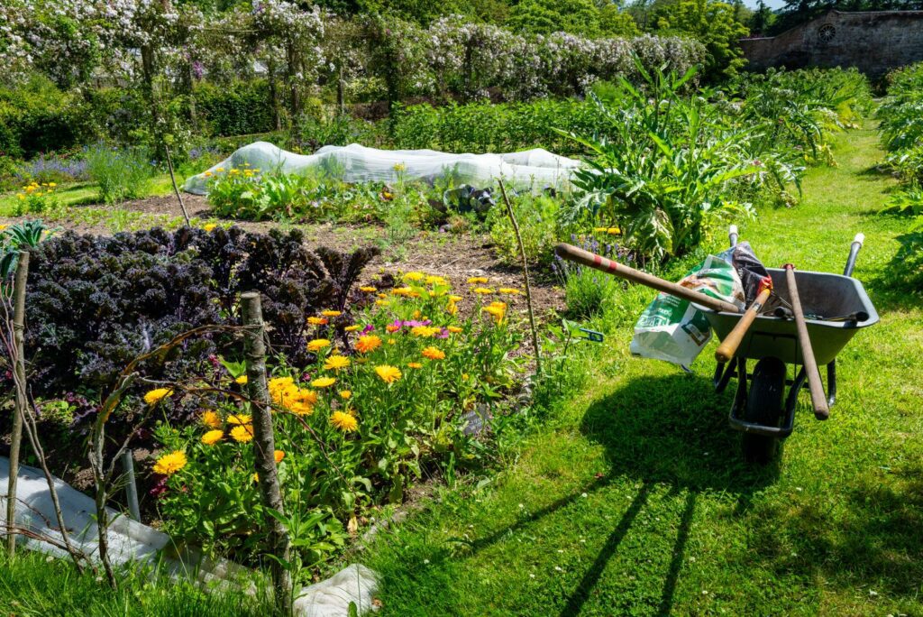 A vibrant kitchen garden with colorful flowers, vegetables, and a wheelbarrow filled with tools.