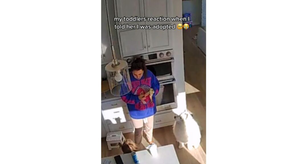 She Caught the Moment She Told Her Toddler About Her Adoption on Camera