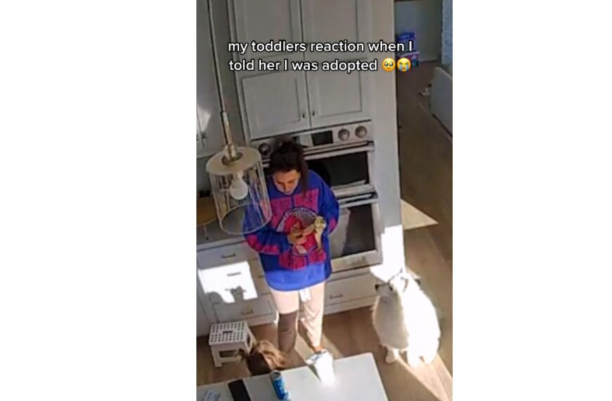 She Caught the Moment She Told Her Toddler About Her Adoption on Camera
