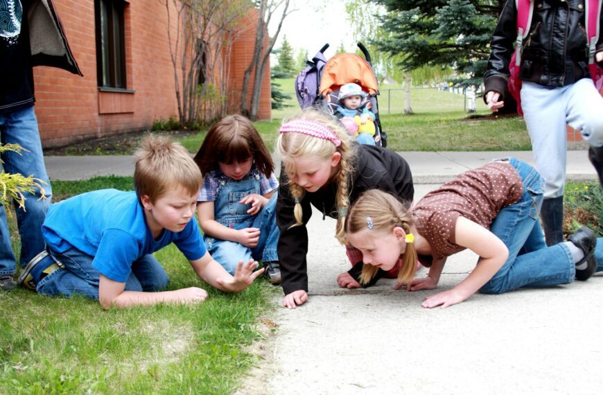 Kids curiously examining something small on the sidewalk grass