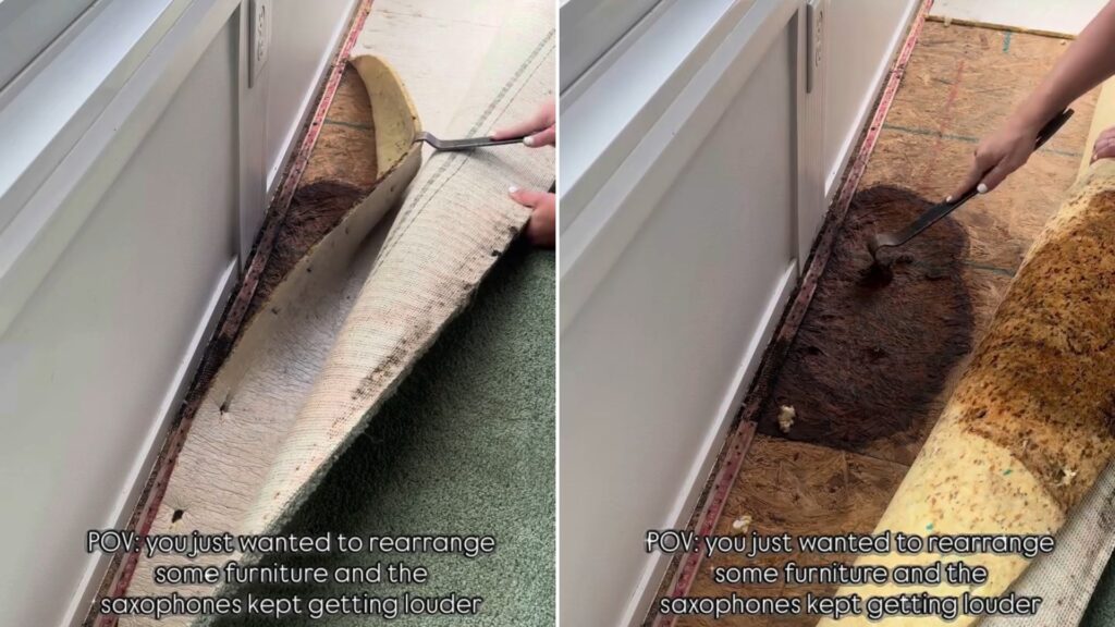 Old carpet being pulled back near a doorway, next to the rotted subfloor found underneath, from the homeowner's own Instagram reel
