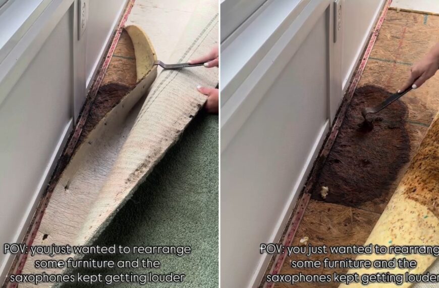 Old carpet being pulled back near a doorway, next to the rotted subfloor found underneath, from the homeowner's own Instagram reel