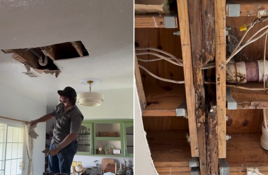 A man on a ladder pulling down a kitchen ceiling panel, next to the rotted joists and pipes exposed above it, from the creator's own Instagram reel