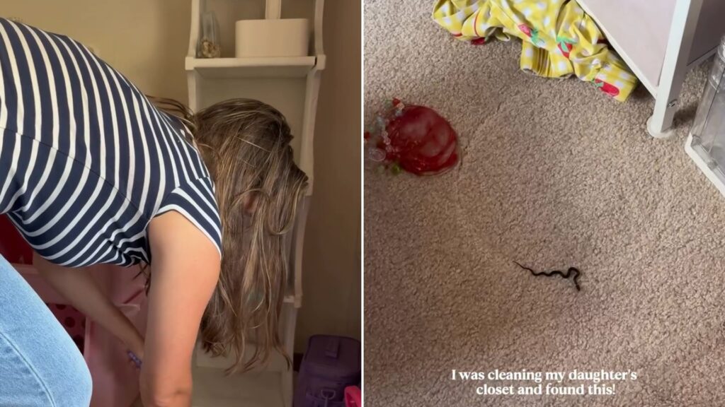 A mom bending down in her daughter's closet, next to the small snake she found on the carpet, from her own Instagram reel