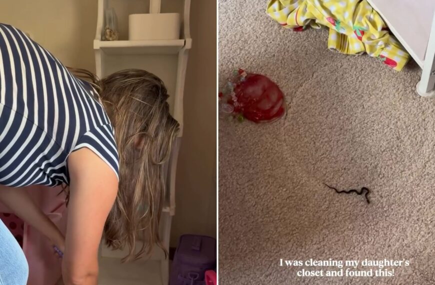A mom bending down in her daughter's closet, next to the small snake she found on the carpet, from her own Instagram reel