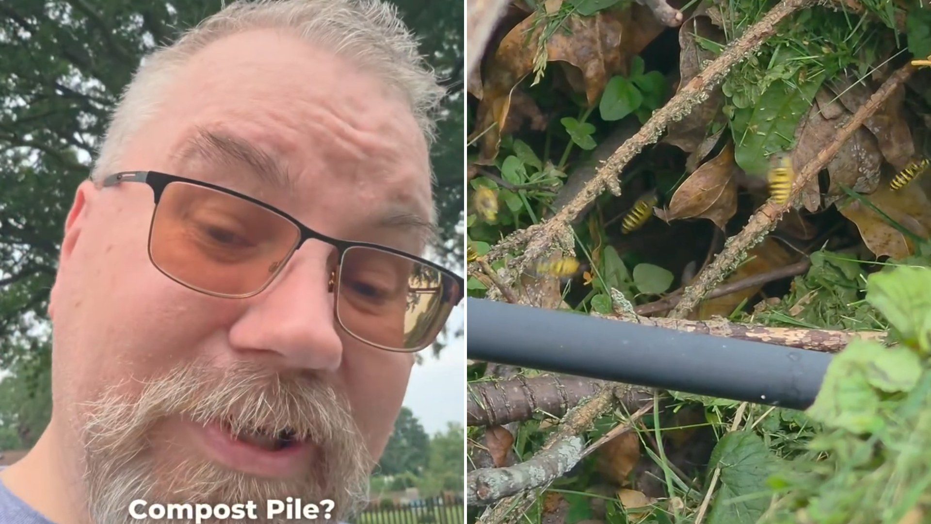 A homeowner reacting to a yellow jacket nest, next to the wasps crawling through the compost pile, from his own Instagram reel