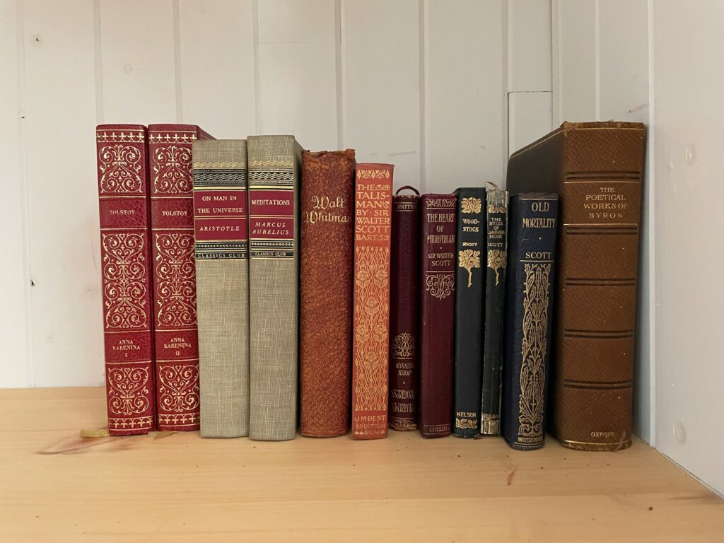 a row of books sitting on top of a wooden shelf