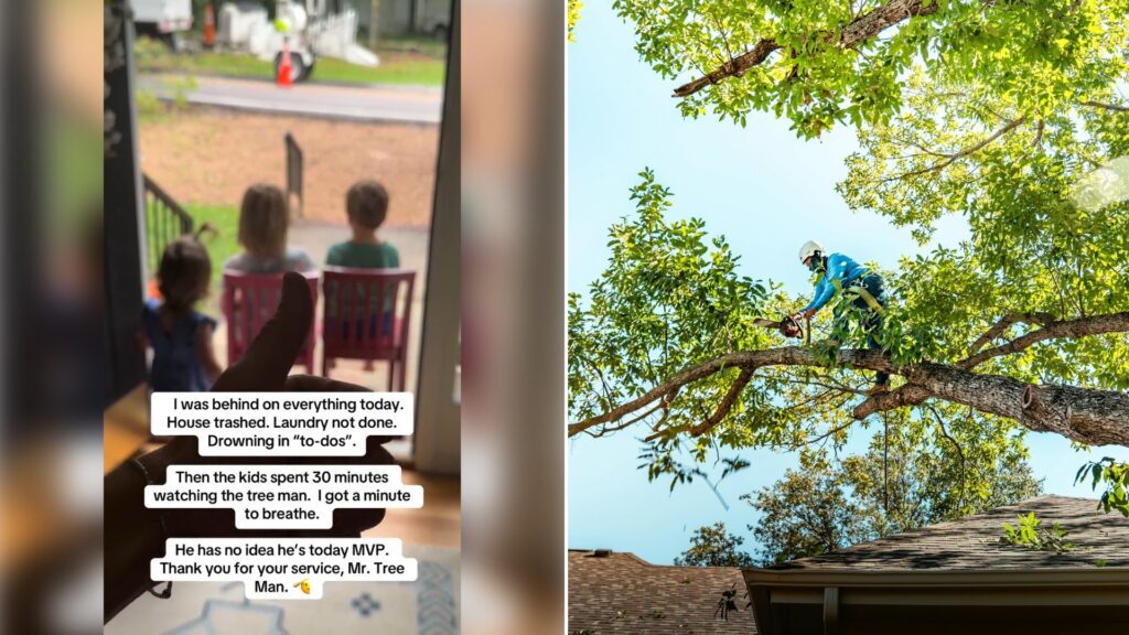 Left: Instagram reel still of kids watching a tree crew from the porch. Right: an arborist cutting a tree (Unsplash photo by Zack Masters).