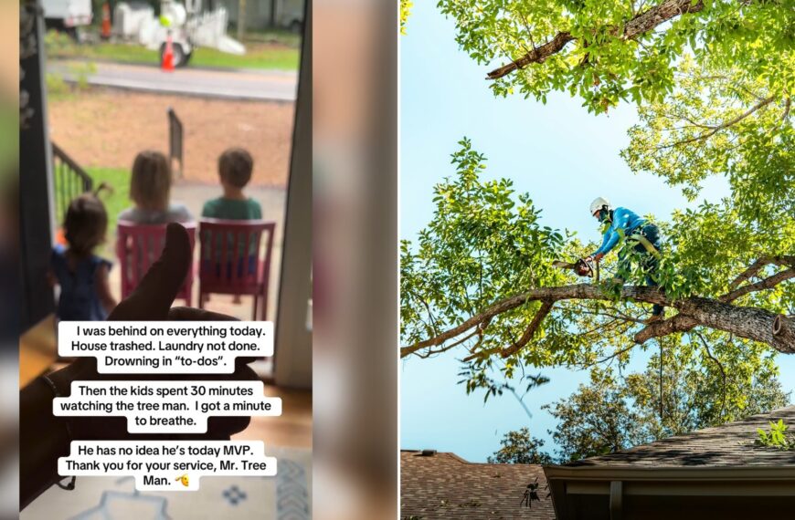 Left: Instagram reel still of kids watching a tree crew from the porch. Right: an arborist cutting a tree (Unsplash photo by Zack Masters).