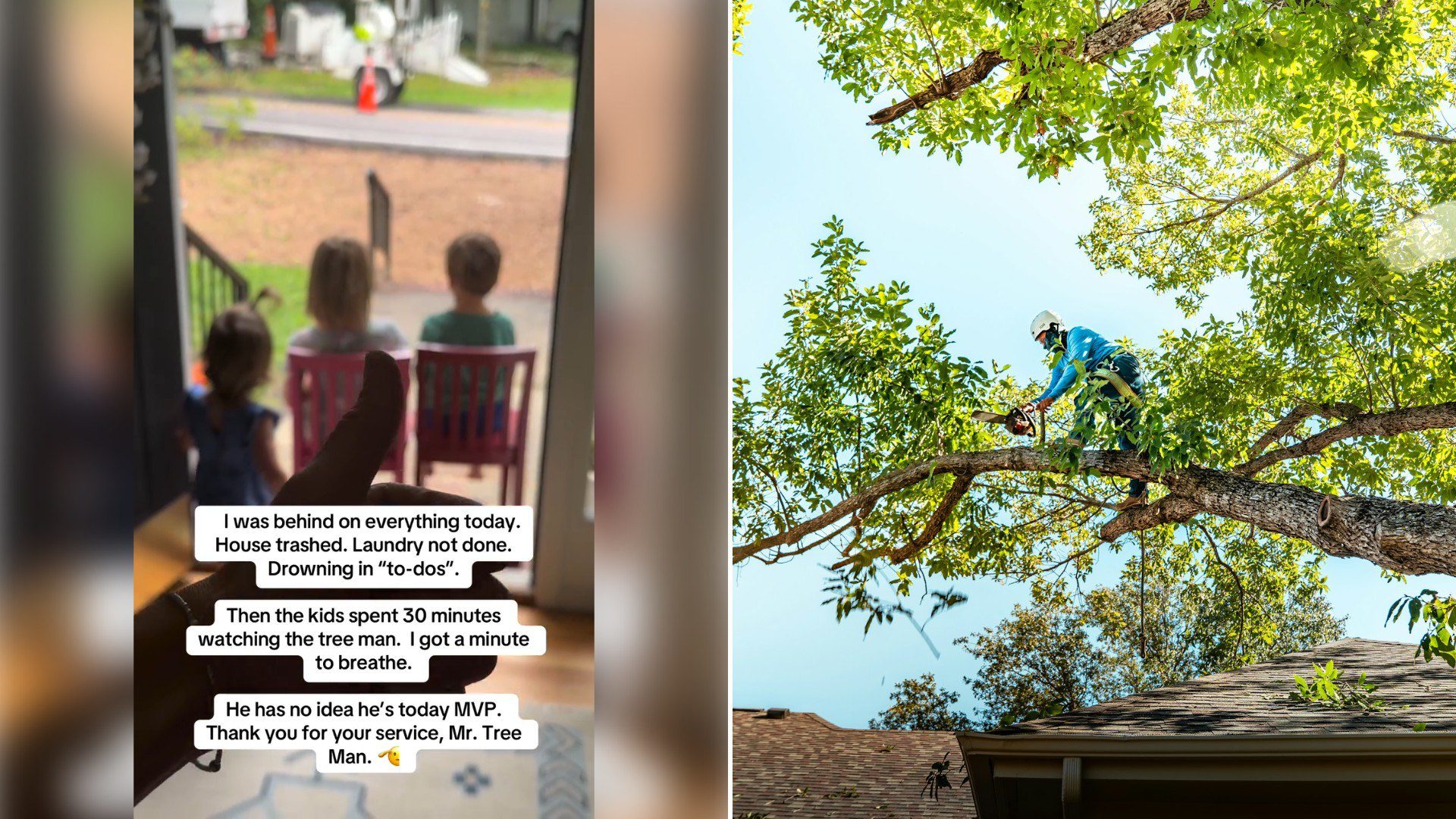 Left: Instagram reel still of kids watching a tree crew from the porch. Right: an arborist cutting a tree (Unsplash photo by Zack Masters).