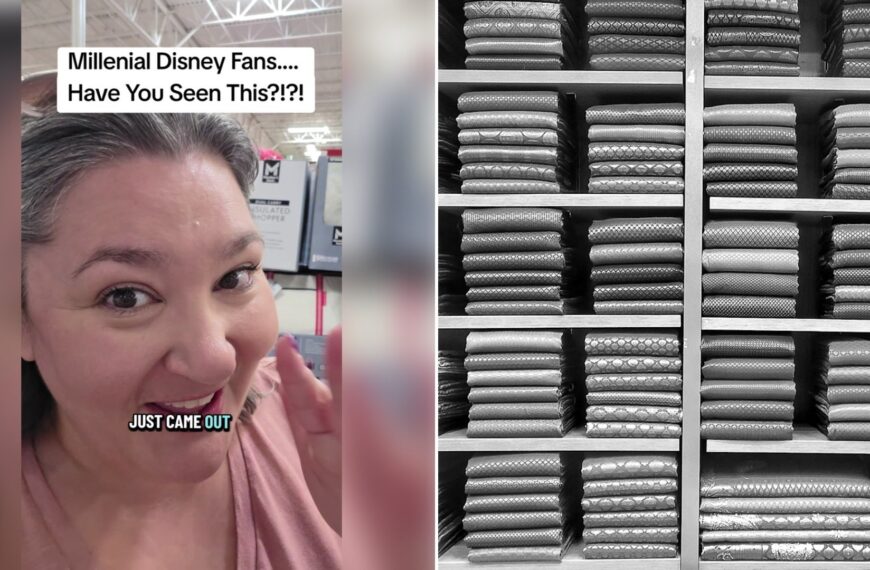 Left: TikTok still of a shopper reacting to Disney blankets at a warehouse club. Right: neatly folded textiles on shelves (Unsplash photo by Jahanvi Singh).