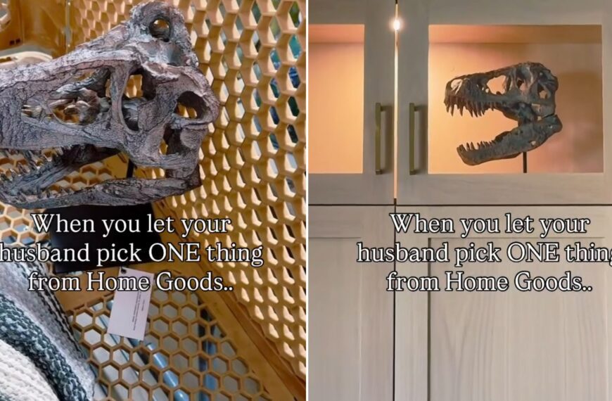 Replica dinosaur skull in a Home Goods cart, beside the same skull displayed in a lit kitchen cabinet