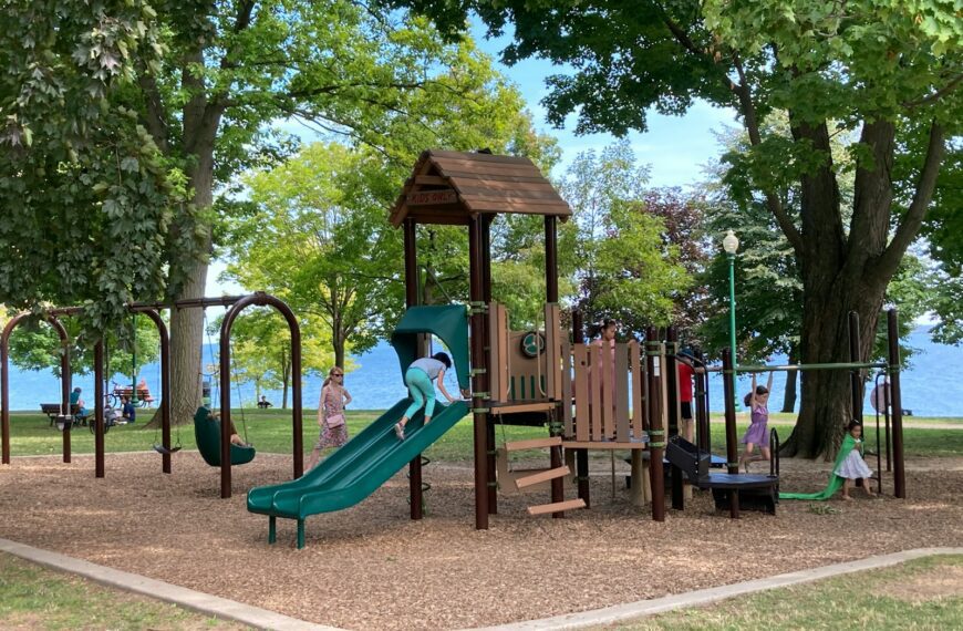 brown wooden playground surrounded by green trees during daytime