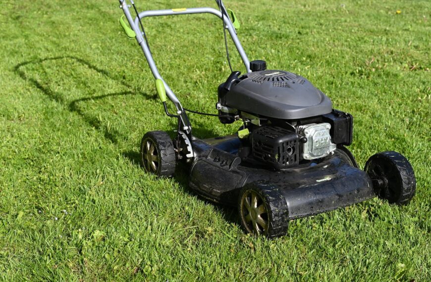 black and yellow push lawn mower on green grass during daytime