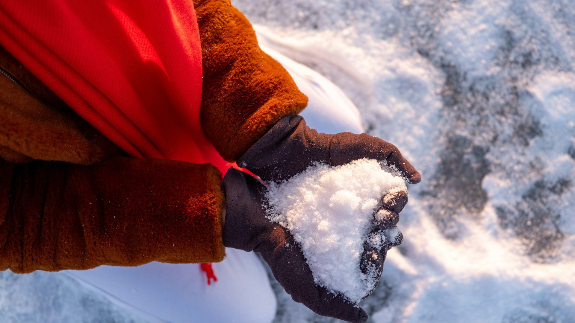 Two hands holding a small pile of fresh snow.