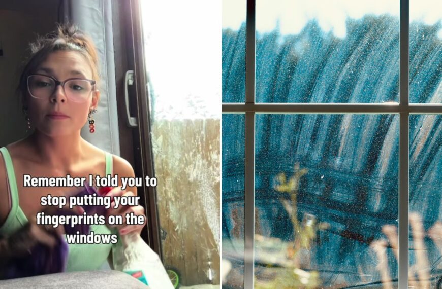 Left: TikTok still from kyratitus of a woman in glasses and a green tank top holding a cloth by a window, with the text "Remember I told you to stop putting your fingerprints on the windows". Right: a streaky window pane (Unsplash photo by Sebastian Schuster).