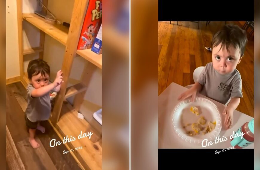 Two stills from an Instagram reel by @green_fam23.