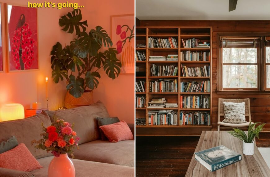 Left: cover still from an Instagram reel by @cozy.renter. Right: a cozy living room with a sofa and plants (Unsplash photo by Clay Banks).
