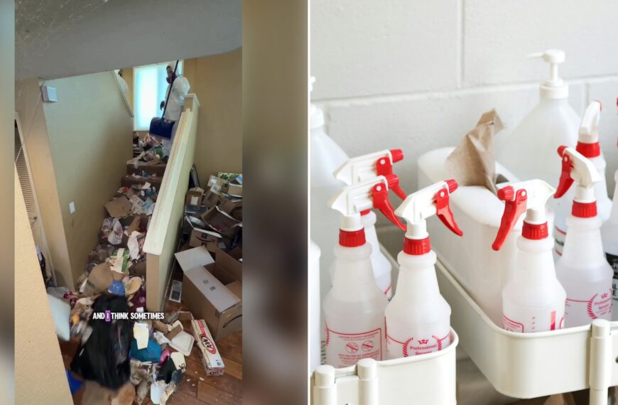 Left: cover still from a TikTok video by @rvlivingwitht. Right: cleaning spray bottles in a white caddy (Unsplash photo by Giorgio Trovato).
