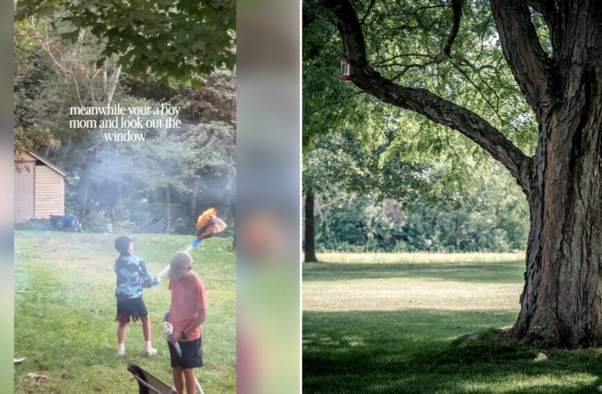 Left: cover still from an Instagram reel by @. Right: a large tree on a grassy lawn (Unsplash photo by Ryan Hafey).