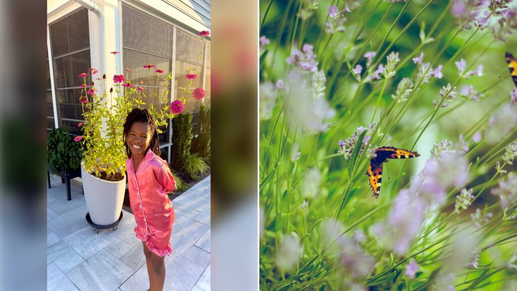 Left: cover still from an Instagram reel by @. Right: butterflies on flowers (Unsplash photo by Emiel Molenaar).