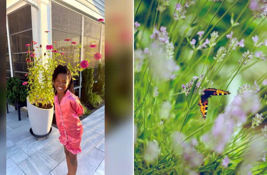 Left: cover still from an Instagram reel by @. Right: butterflies on flowers (Unsplash photo by Emiel Molenaar).