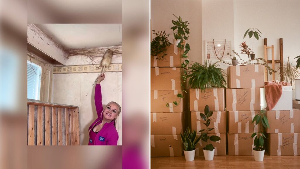 Left: cover still from a TikTok video by @swbwdmfy9cc. Right: a room filled with boxes and plants (Unsplash photo by Dina Badamshina).