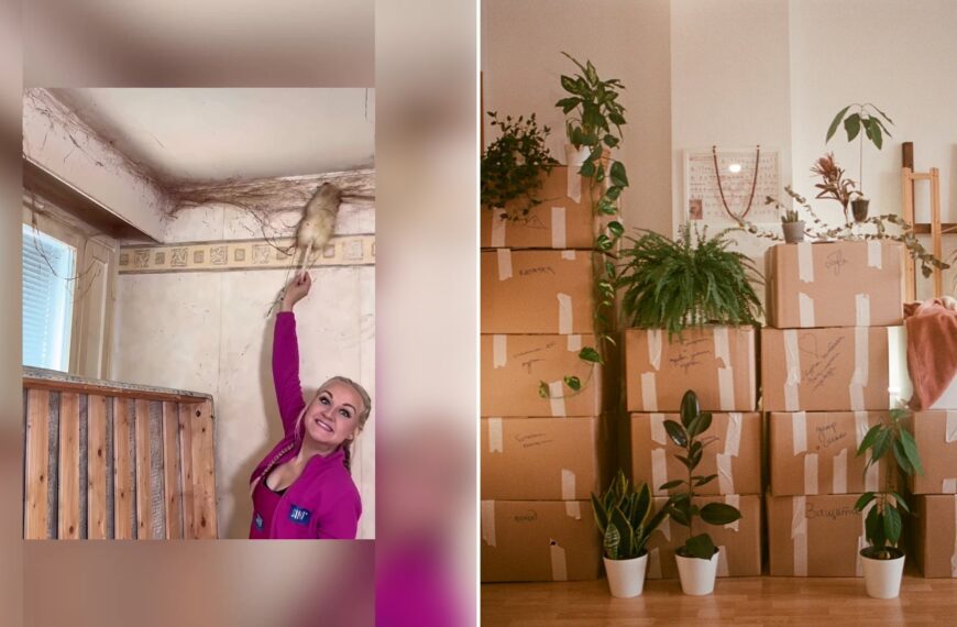 Left: cover still from a TikTok video by @swbwdmfy9cc. Right: a room filled with boxes and plants (Unsplash photo by Dina Badamshina).
