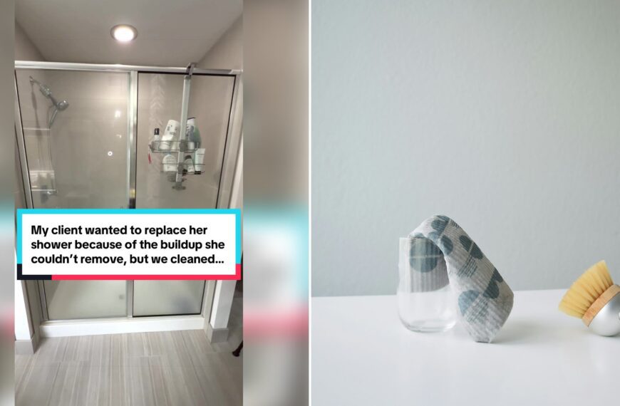Left: cover still from a TikTok video by @edgecleaning. Right: A drinking glass next to a dish cloth and a dish brush (Unsplash photo by Rachel Beck).