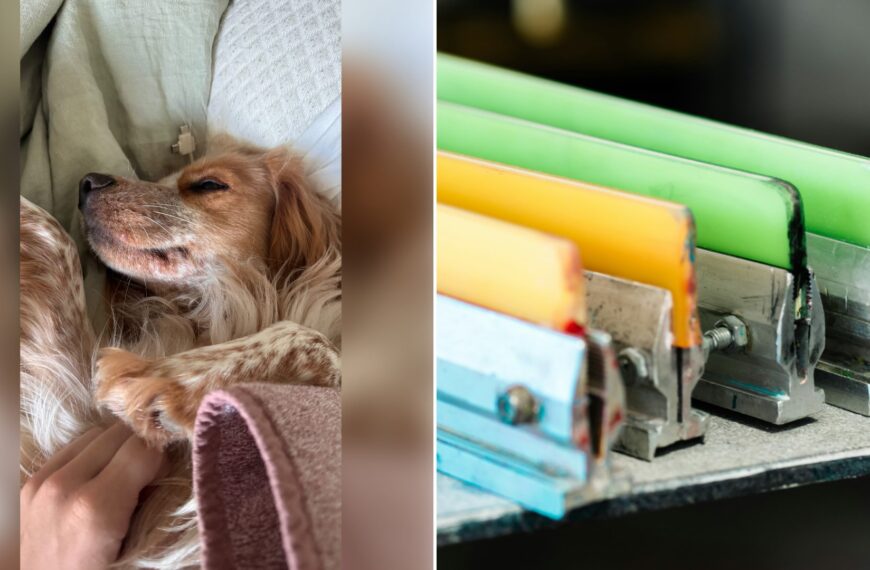 Left: cover still from an Instagram reel by @. Right: Four colorful squeegees lined up on a shelf (Unsplash photo by Anthony Roberts).