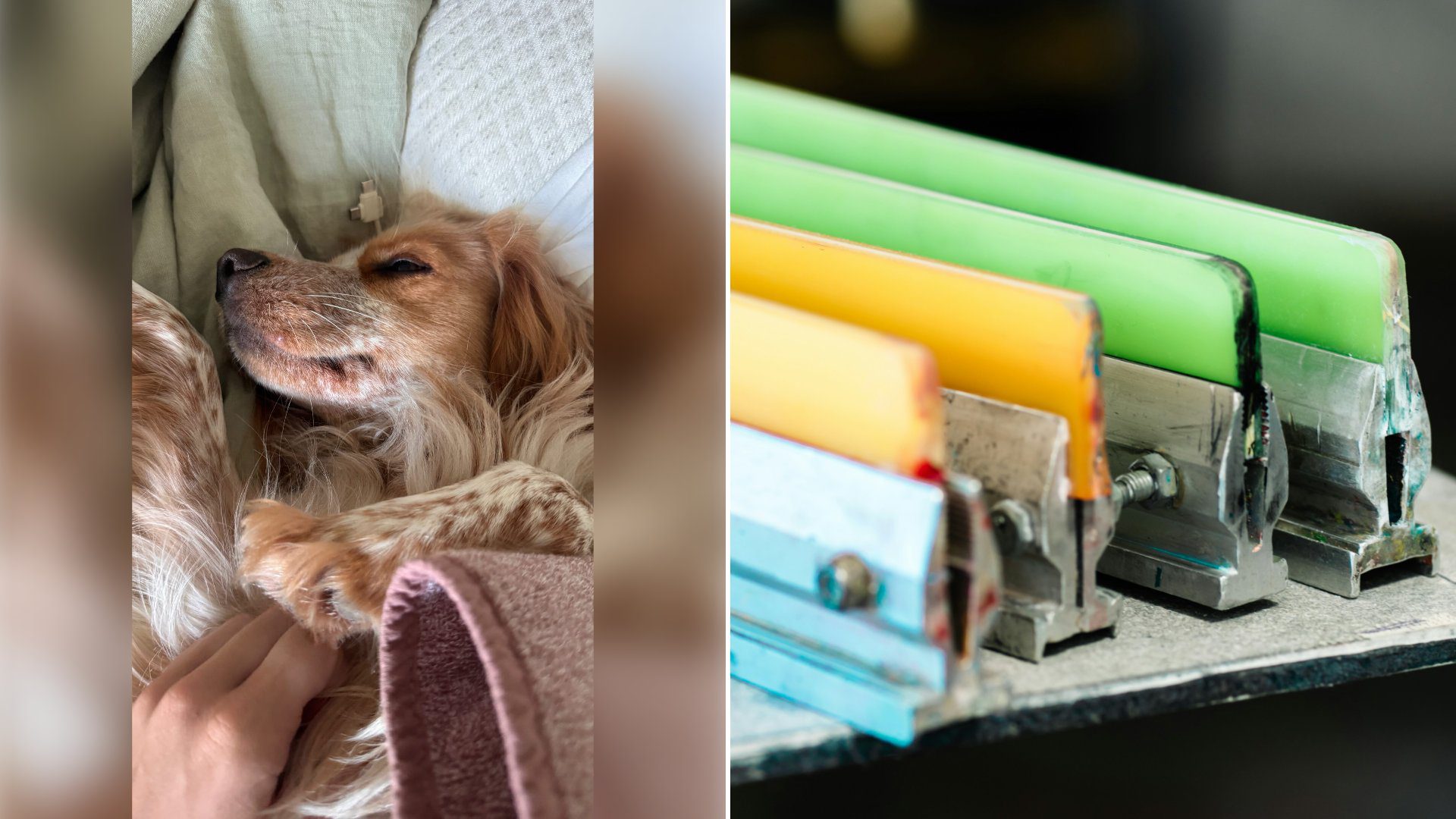 Left: cover still from an Instagram reel by @. Right: Four colorful squeegees lined up on a shelf (Unsplash photo by Anthony Roberts).
