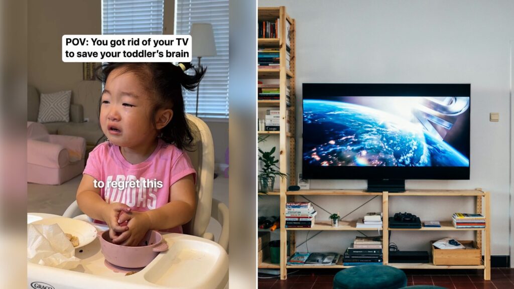 Left: cover still from a TikTok video by @koohry. Right: A flat-screen television on a wooden bookshelf in a living room (Unsplash photo by Jonas Leupe).