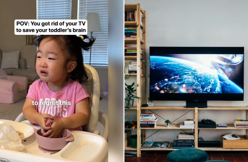 Left: cover still from a TikTok video by @koohry. Right: A flat-screen television on a wooden bookshelf in a living room (Unsplash photo by Jonas Leupe).
