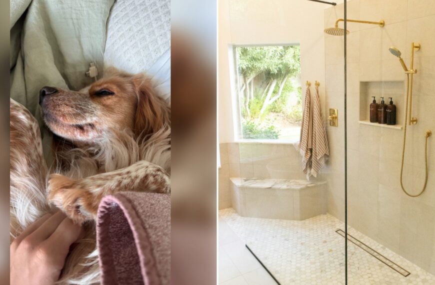 Left: cover still from an Instagram reel by @. Right: A white bathtub with a shower curtain (Unsplash photo by Alexander Fife).