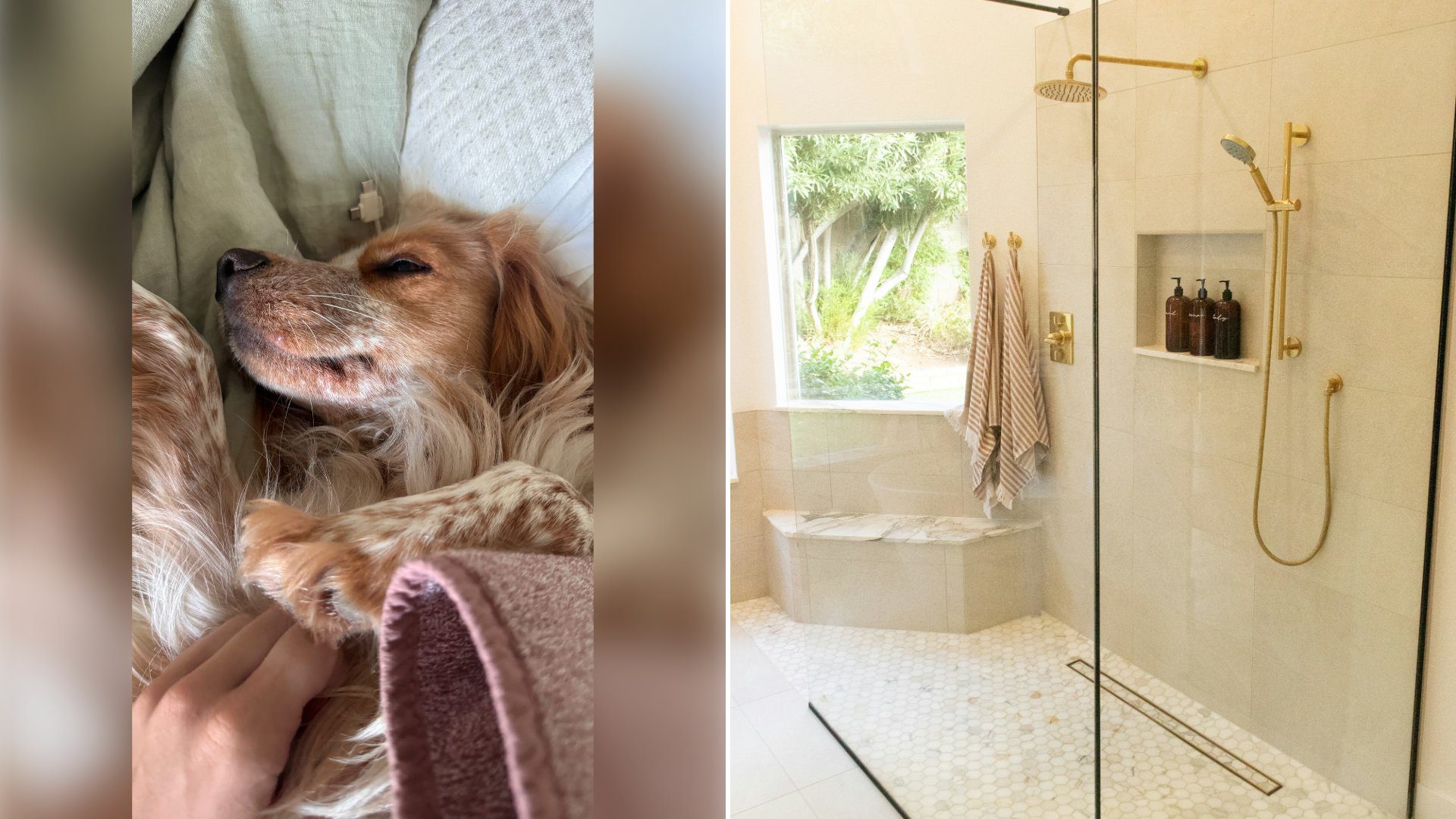 Left: cover still from an Instagram reel by @. Right: A white bathtub with a shower curtain (Unsplash photo by Alexander Fife).