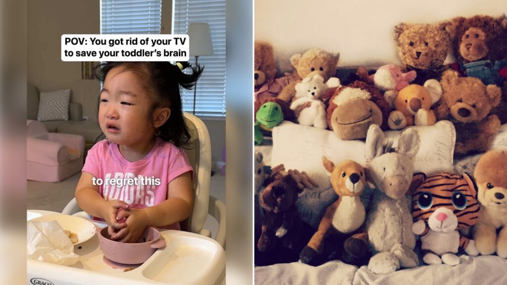 Left: cover still from a TikTok video by @@koohry. Right: A brown bear plush toy on white fabric (Unsplash photo by m s).