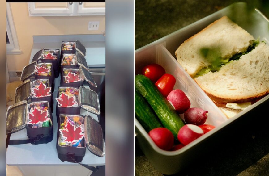 Left: cover still from a TikTok video by @doughertydozen. Right: Lunchbox filled with a sandwich, cucumbers, radishes and tomatoes (Unsplash photo by Peter Heymans).