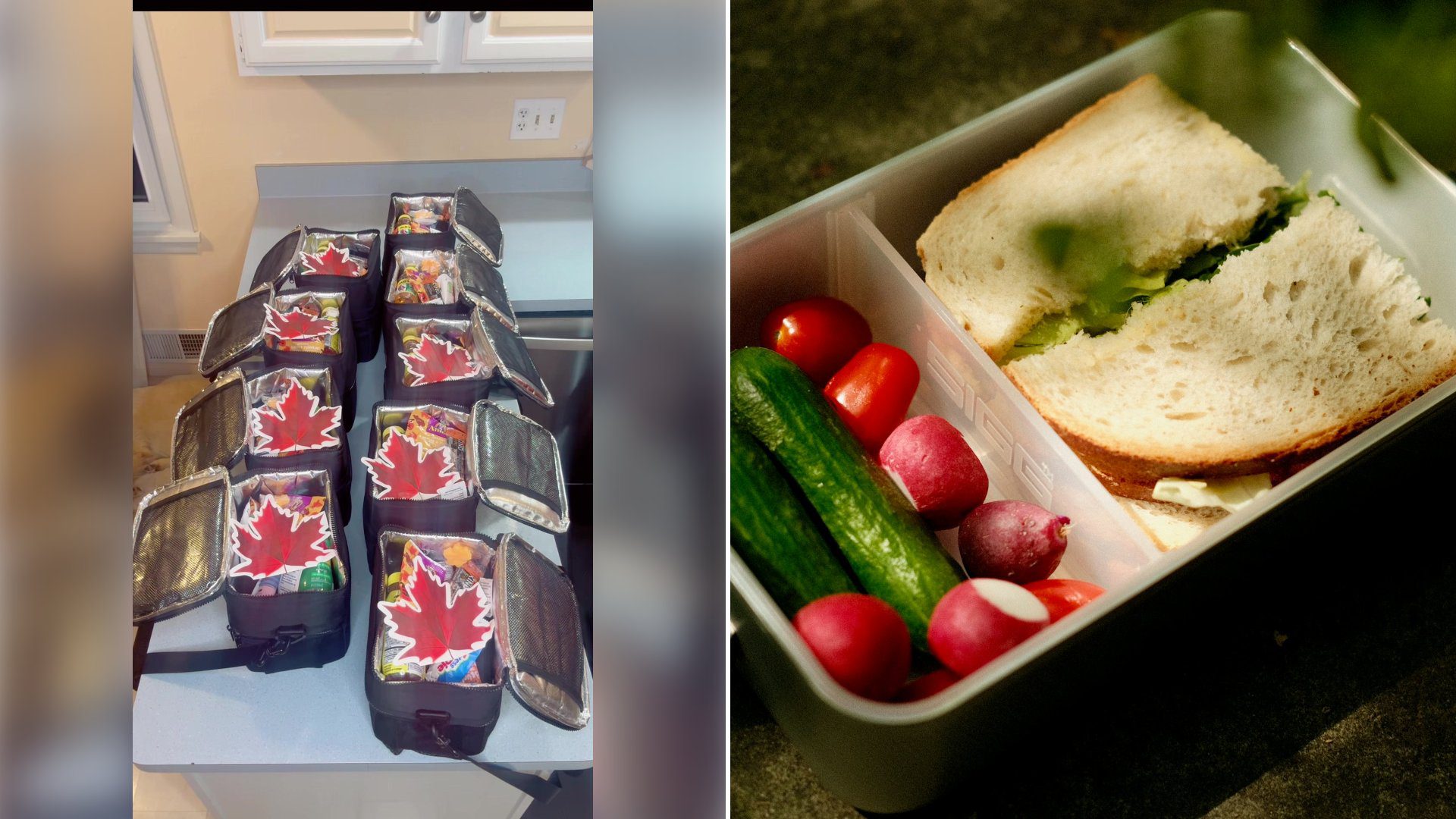 Left: cover still from a TikTok video by @doughertydozen. Right: Lunchbox filled with a sandwich, cucumbers, radishes and tomatoes (Unsplash photo by Peter Heymans).
