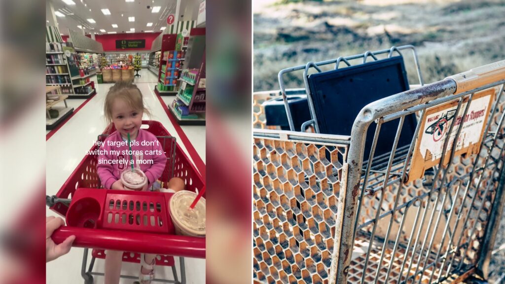 Left: cover still from a TikTok video by @emilyawheeler. Right: Close-up of a grey stainless steel shopping cart (Unsplash photo by Daniel Salgado).