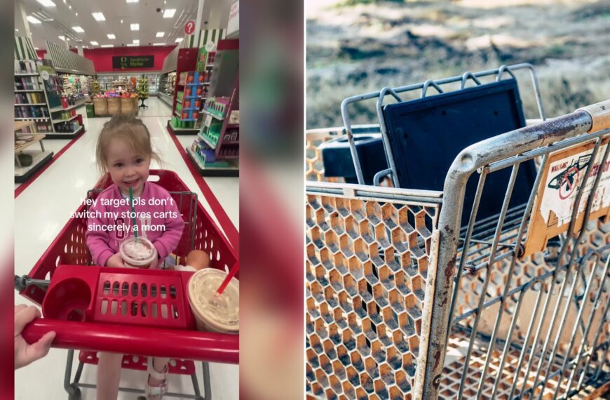 Left: cover still from a TikTok video by @emilyawheeler. Right: Close-up of a grey stainless steel shopping cart (Unsplash photo by Daniel Salgado).