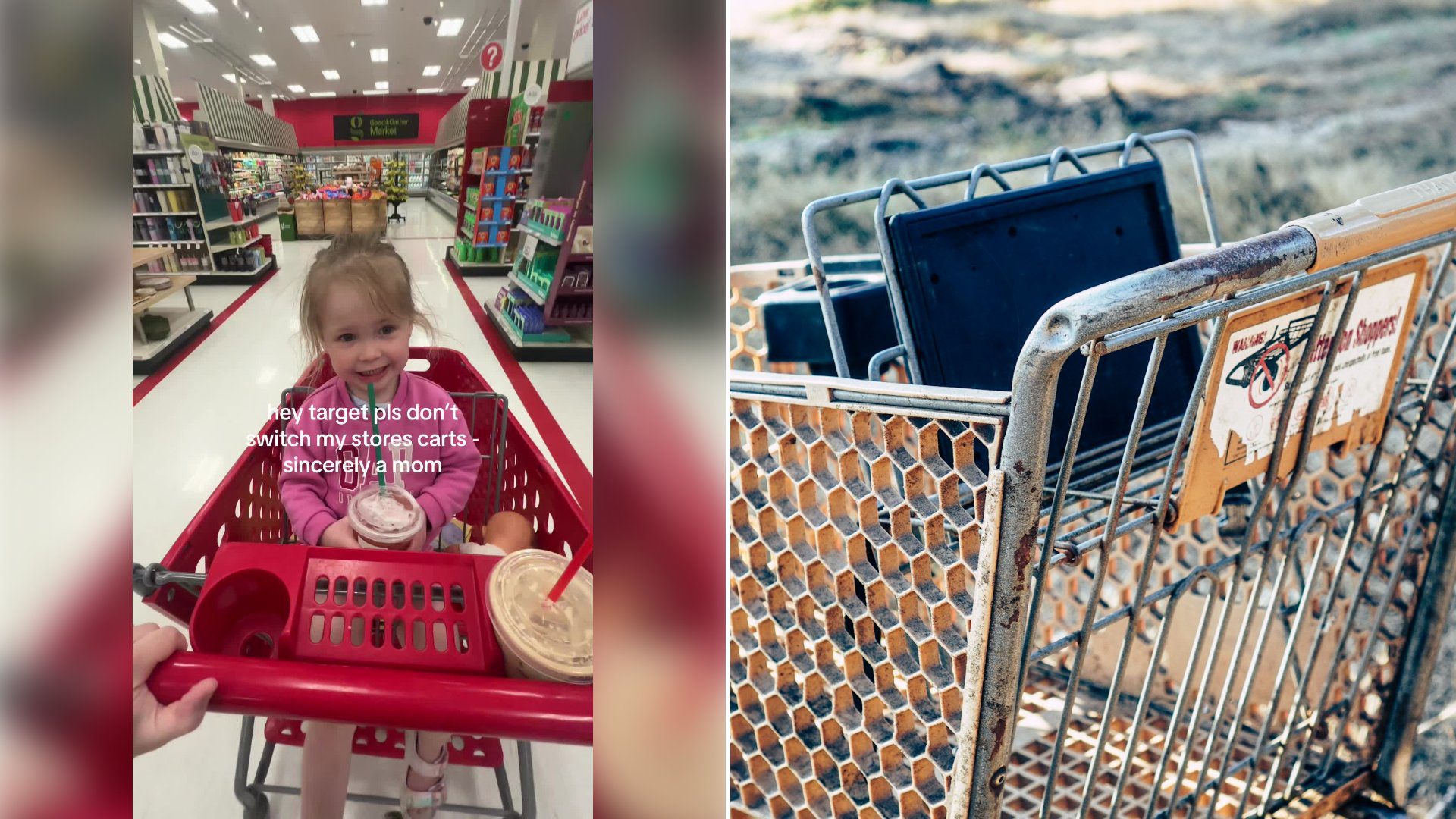 Left: cover still from a TikTok video by @emilyawheeler. Right: Close-up of a grey stainless steel shopping cart (Unsplash photo by Daniel Salgado).