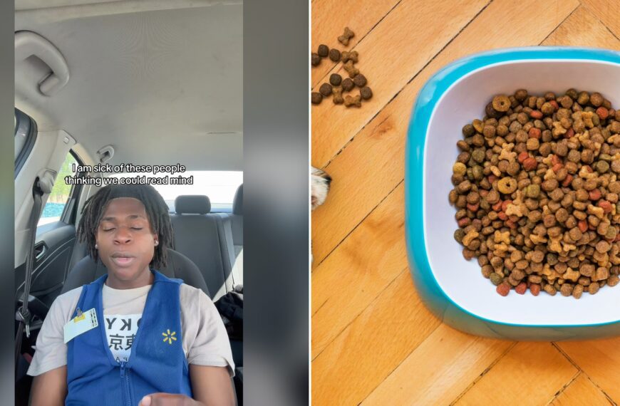 Split image with the cover of @skylouieeeee's TikTok video, where a young man in a blue Walmart vest over a gray t-shirt sits in a car with his eyes down, with a caption above him, on the left and an Unsplash photo by Mathew Coulton on the right showing dog kibble in a blue plastic bowl