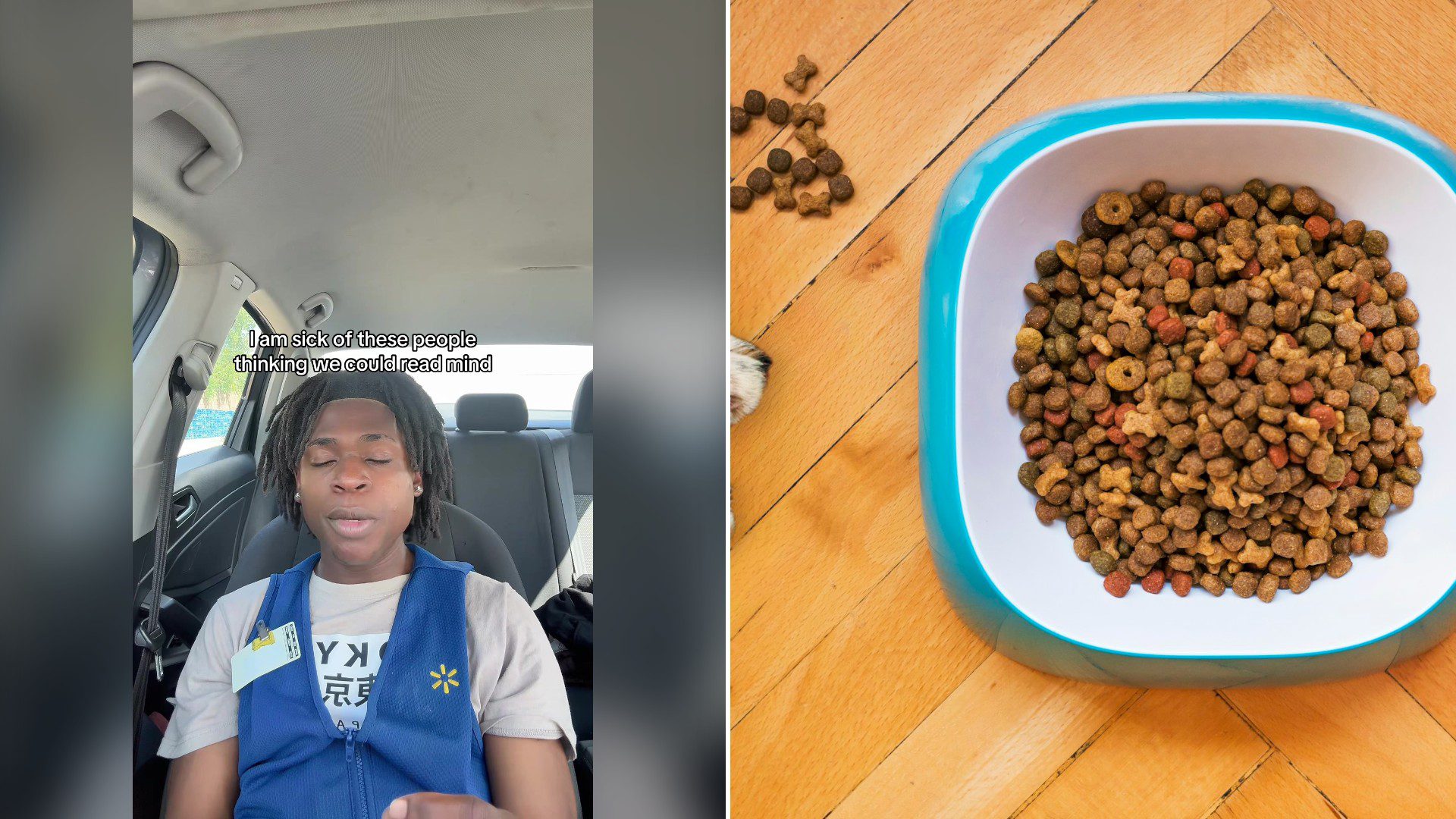 Split image with the cover of @skylouieeeee's TikTok video, where a young man in a blue Walmart vest over a gray t-shirt sits in a car with his eyes down, with a caption above him, on the left and an Unsplash photo by Mathew Coulton on the right showing dog kibble in a blue plastic bowl