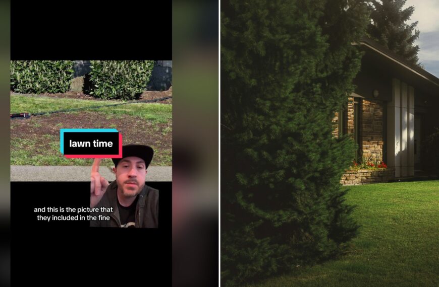 Split image with the cover of @nowspinning's TikTok video, where a man in a black cap points at the camera next to a freshly mown lawn, with a 'lawn time' label and the caption 'and this is the picture that they included in the fine', on the left and an Unsplash photo by Devon MacKay on the right showing front yard lawn with a brown wooden house behind a tree